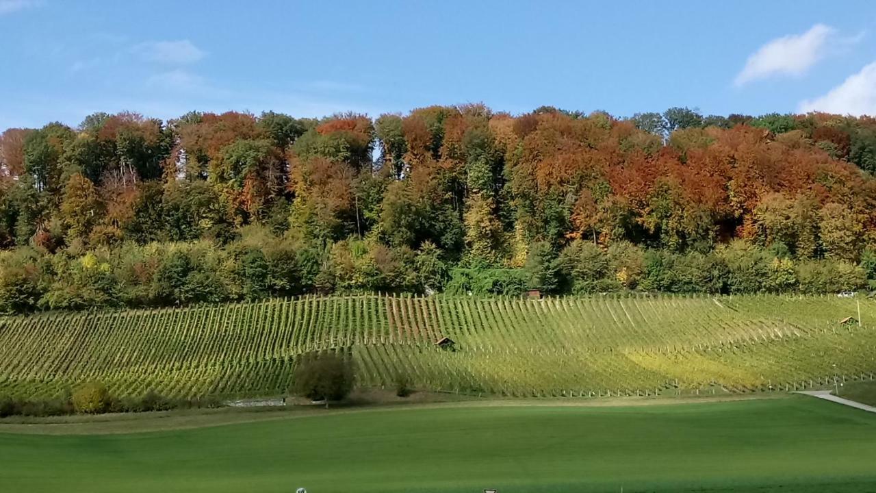 Ferienzimmer Zuelli Erlach Luaran gambar